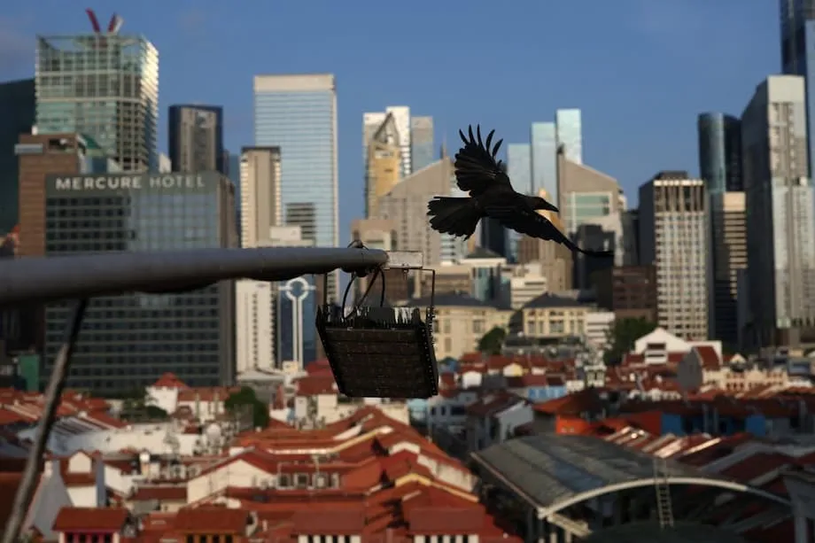 Singapour face à une hausse alarmante des suicides chez les jeunes adultes : comprendre la crise et les pistes pour y faire face