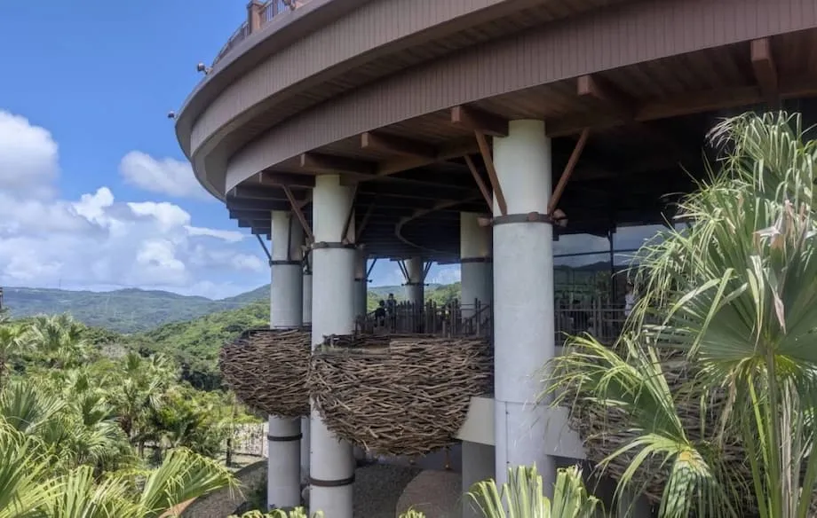 Junglia : le parc à dinosaures d’Okinawa ouvre une nouvelle ère pour l’aventure et le tourisme