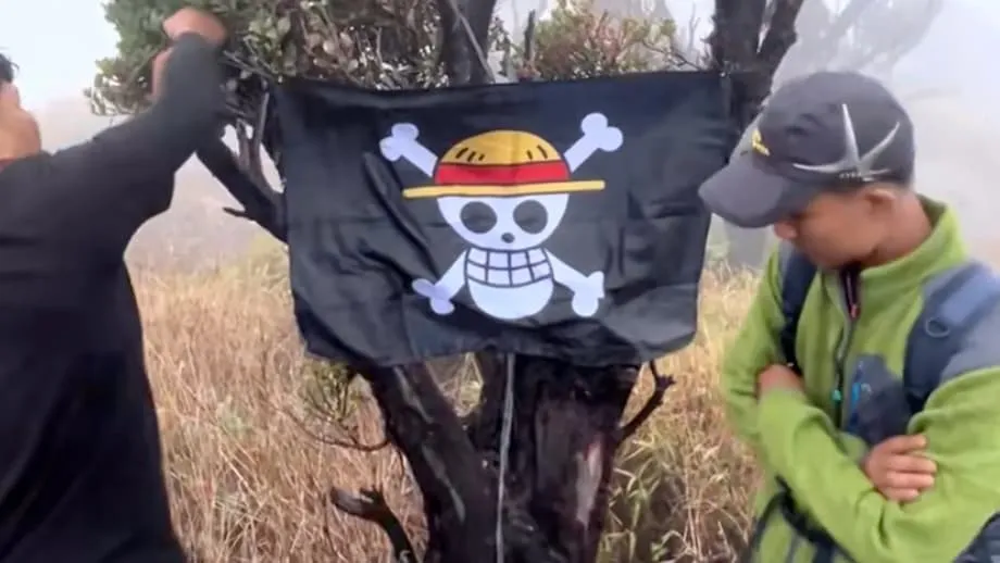 Comment le drapeau pirate de One Piece est devenu un symbole de protestation en Indonésie