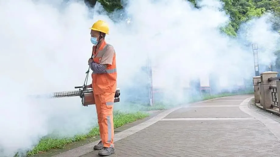 La plus importante épidémie de chikungunya en Chine : comment le Guangdong lutte contre un virus transmis par les moustiques