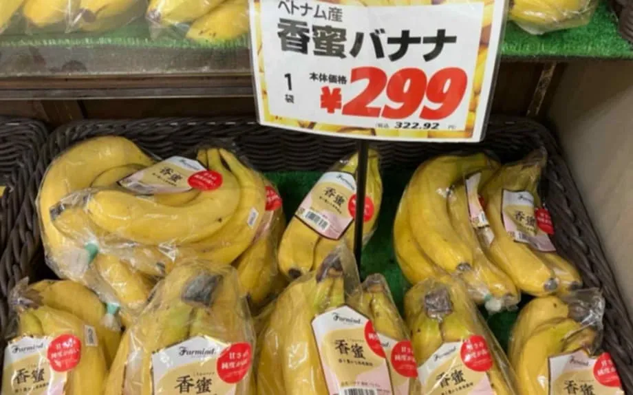 Les bananes vietnamiennes gagnent du terrain au Japon : un tournant dans le commerce asiatique de la banane