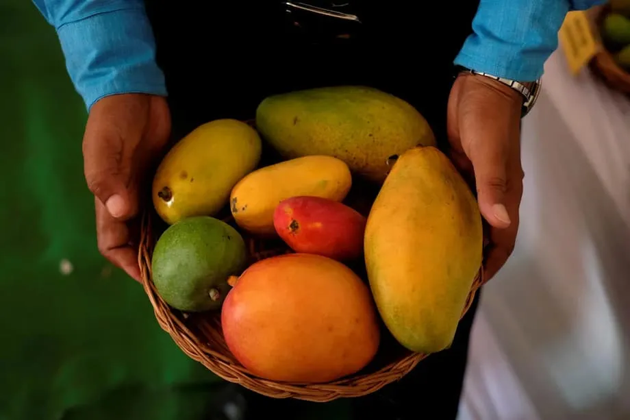 Mangues et diabète en Inde : de nouveaux essais cliniques remettent en question les idées reçues