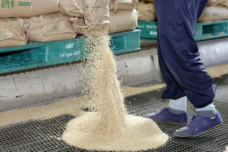 La crise de l’insécurité alimentaire au Japon : pourquoi la plupart des familles à faibles revenus peinent à nourrir leurs enfants