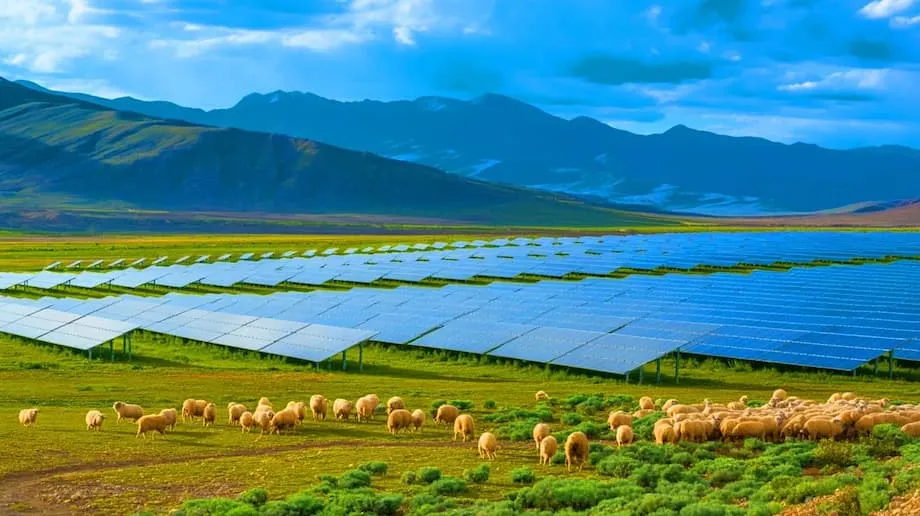 L’immense centrale solaire chinoise revitalise l’écosystème et alimente des millions de foyers