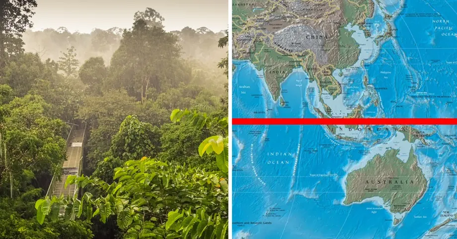 Pourquoi les forêts tropicales de Malaisie comptent parmi les écosystèmes les plus anciens de la planète