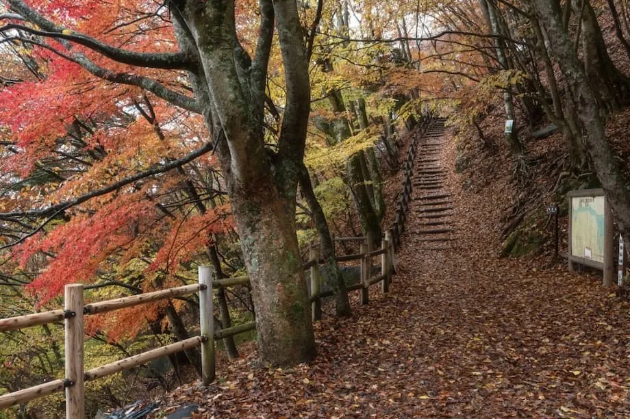 Un automne bref, un hiver brutal : le Japon se prépare à un basculement soudain des saisons