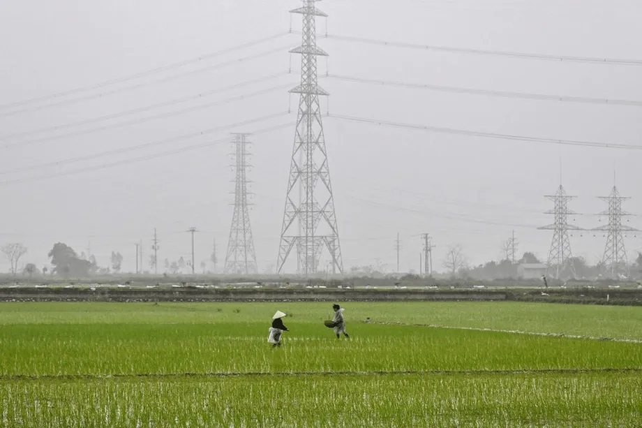 Le Vietnam face aux failles de la sécurité alimentaire tout au long de la chaîne