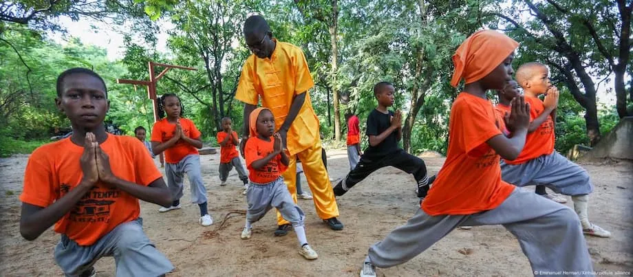 Les Instituts Confucius en Afrique : langue, soft power et autonomie locale