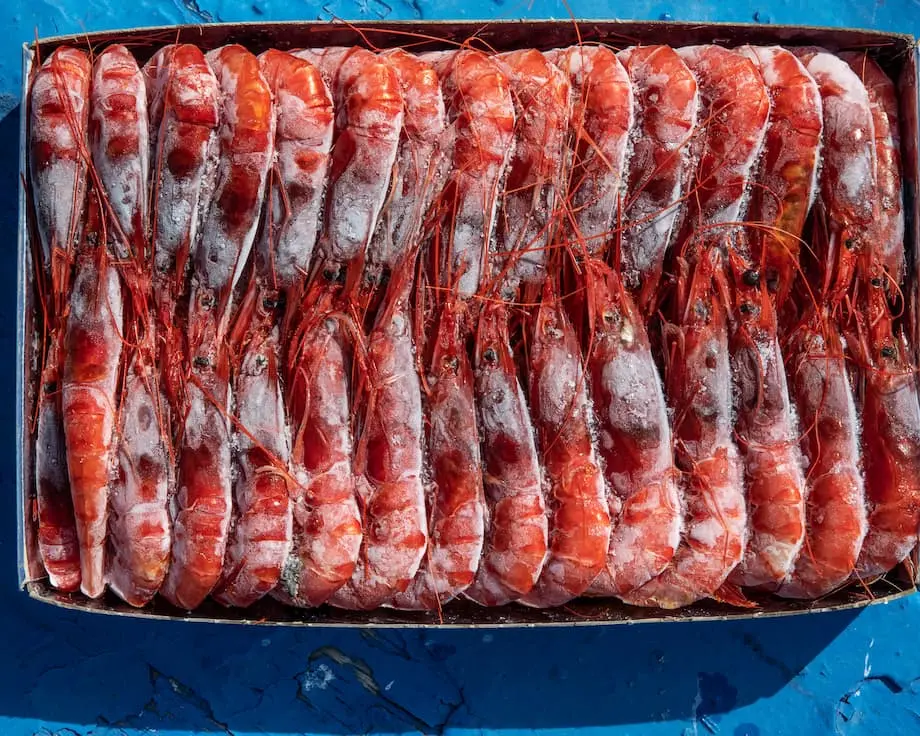 La crise des crevettes radioactives en Indonésie remonte à une contamination au césium dans une zone industrielle