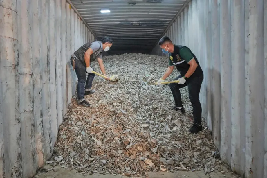 Les exportations américaines de déchets électroniques alimentent une crise de pollution en Asie du Sud-Est