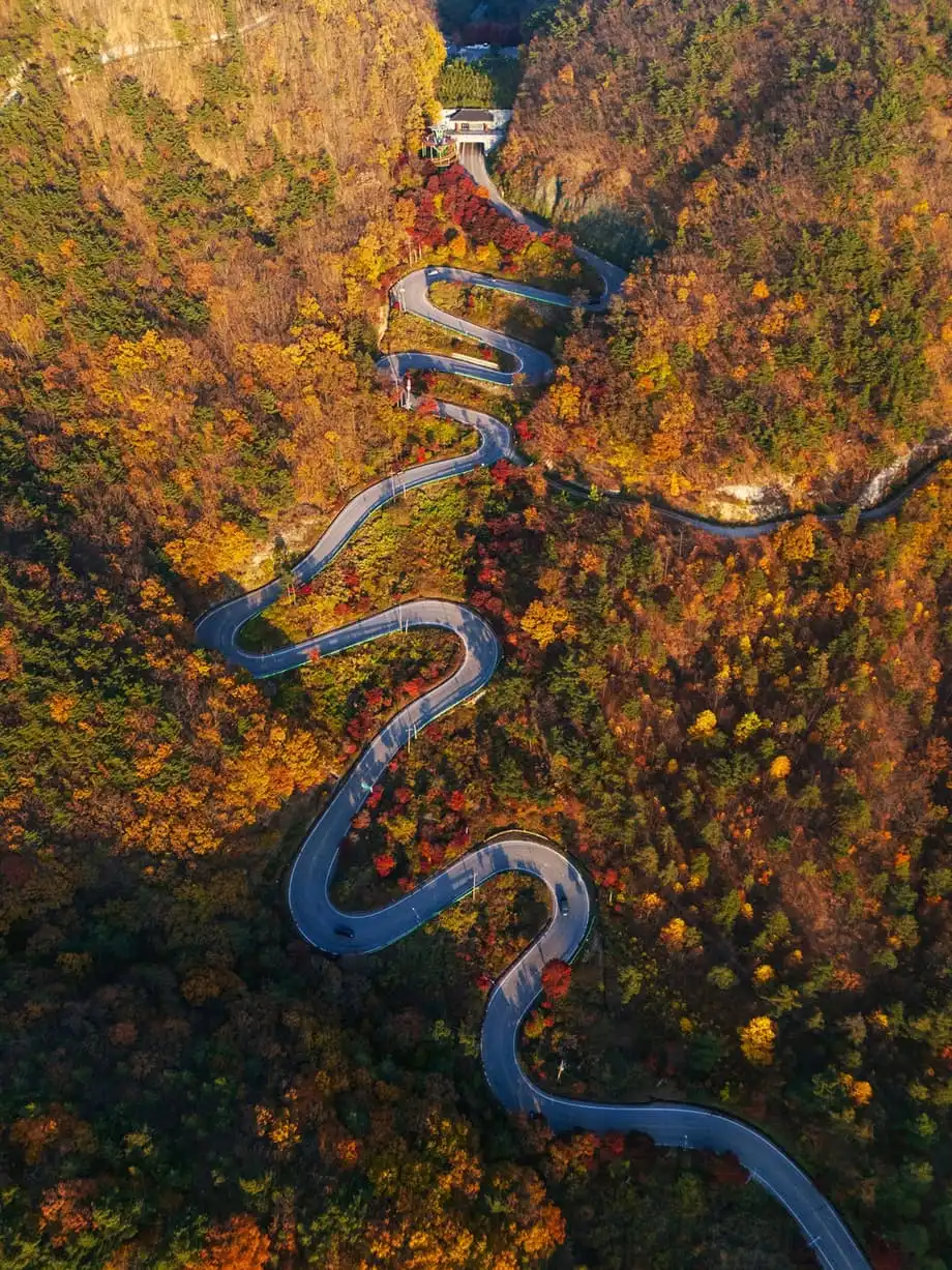 La Corée du Sud en 2026 : culture, nouveaux sentiers et gastronomie qui vaut le détour