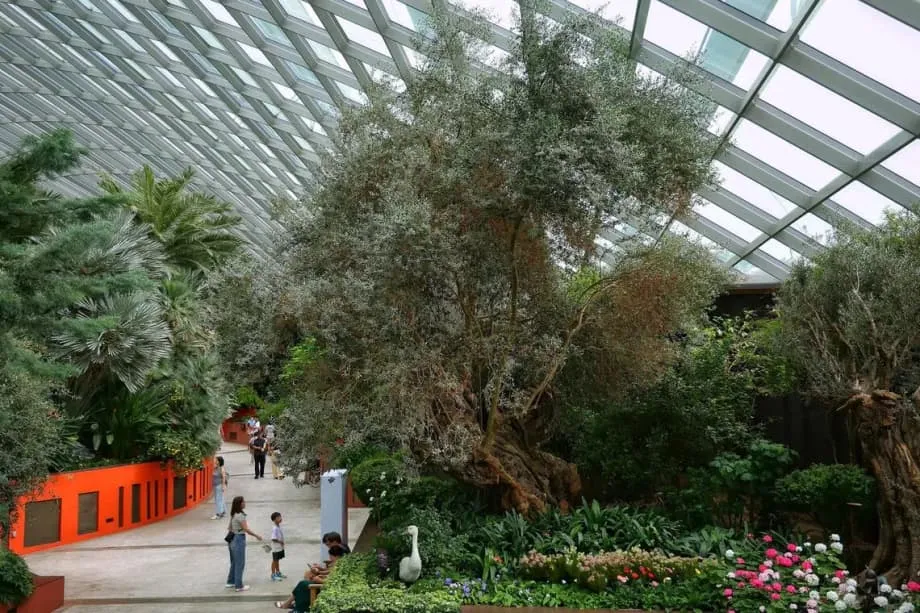 10 lieux inspirants à Singapour pour apprendre en famille lors d’une sortie