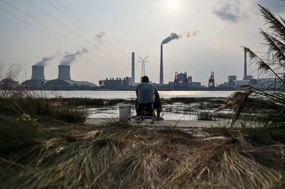 La Chine ne finance pas le fonds forestier brésilien et appelle les pays riches à prendre les devants à la COP30