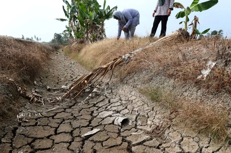 L’essor des centres de données à Johor se heurte à la pénurie d’eau