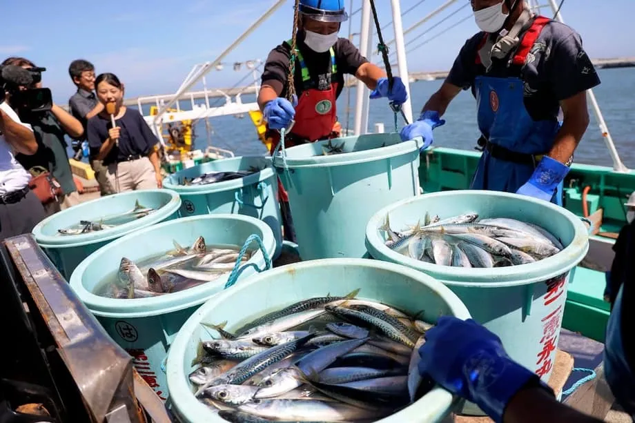 La Chine suspend les importations de produits de la mer japonais alors que la crise autour de Taïwan s’aggrave