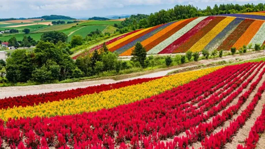 Le projet ambitieux du Japon pour faire d’Hokkaido un pôle mondial des semi-conducteurs