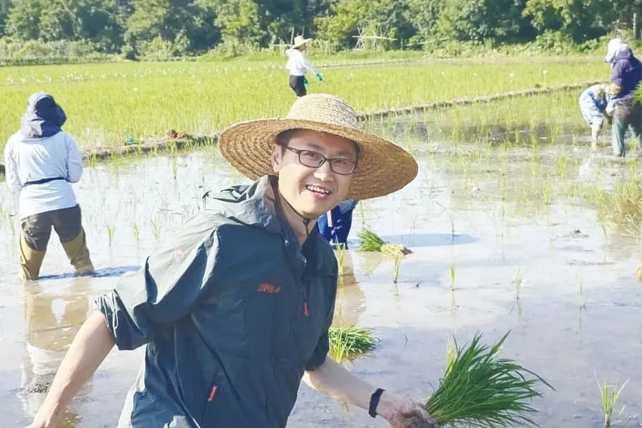 La percée chinoise dans le riz hybride clonable pourrait révolutionner la sécurité alimentaire mondiale