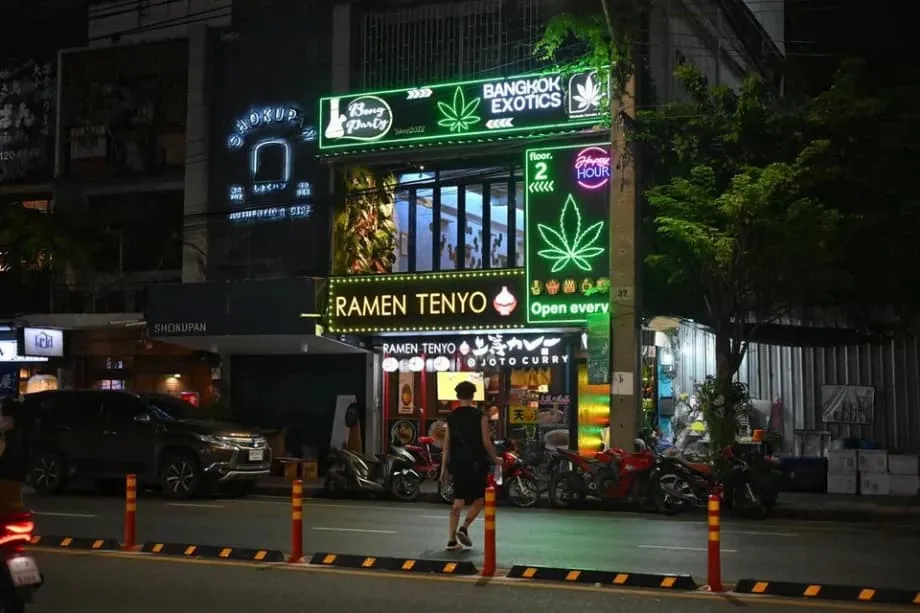 L’expérience thaïlandaise du cannabis : de l’espoir économique aux inquiétudes sociales
