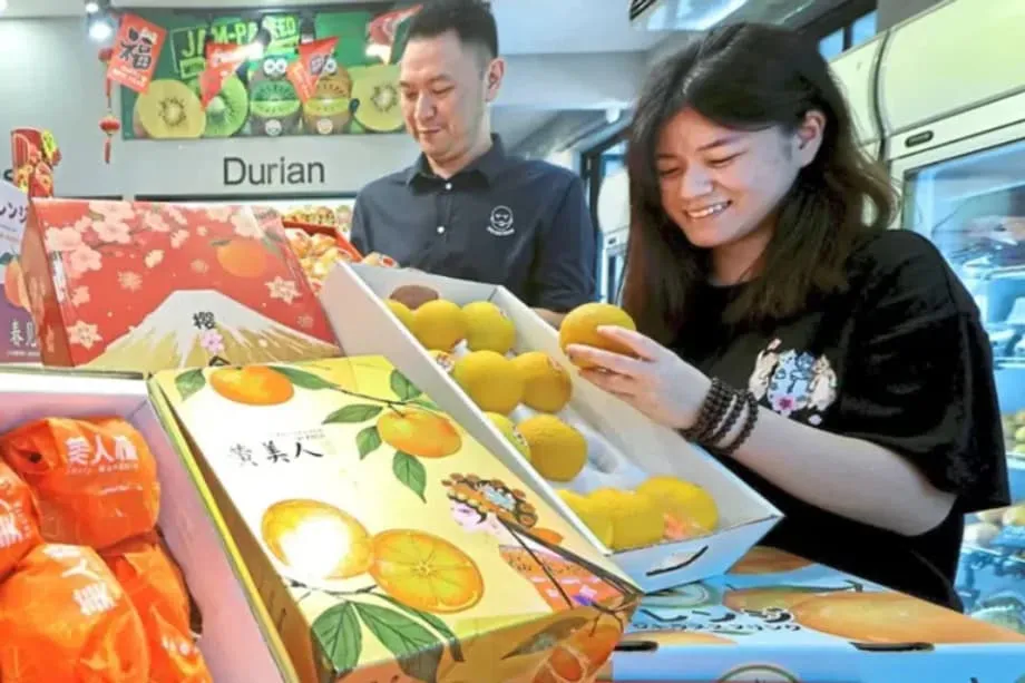 Les mandarines Yellow Beauty séduisent le marché malaisien, portées par l’essor des cadeaux haut de gamme pour le Nouvel An chinois