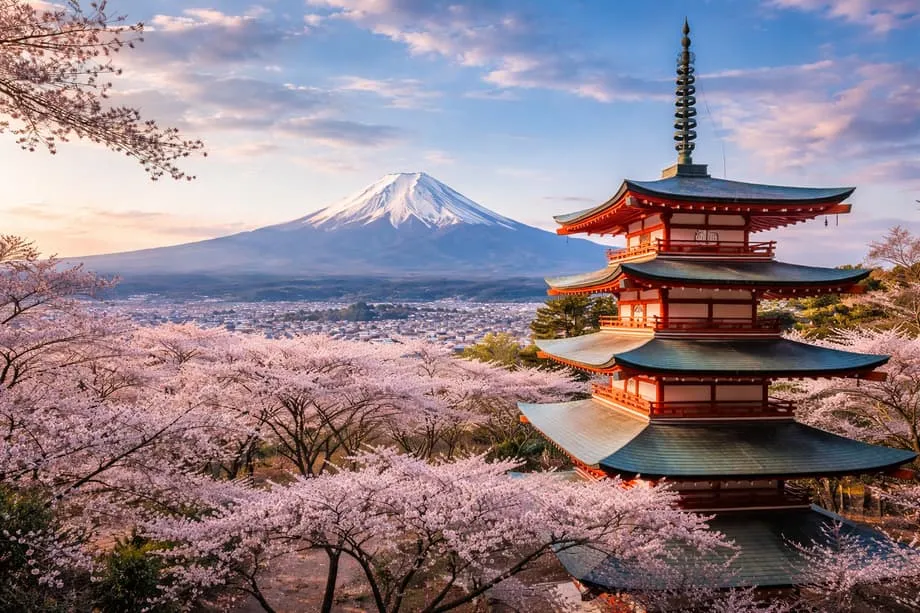 Why Japan Is Cancelling Its Iconic 2026 Sakura Festival