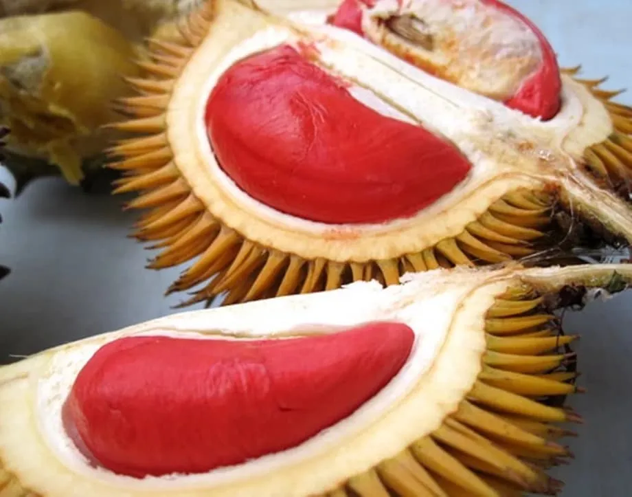 Khasiat Makanan Tradisional Sabah & Sarawak - Portal Kesihatan No.1
