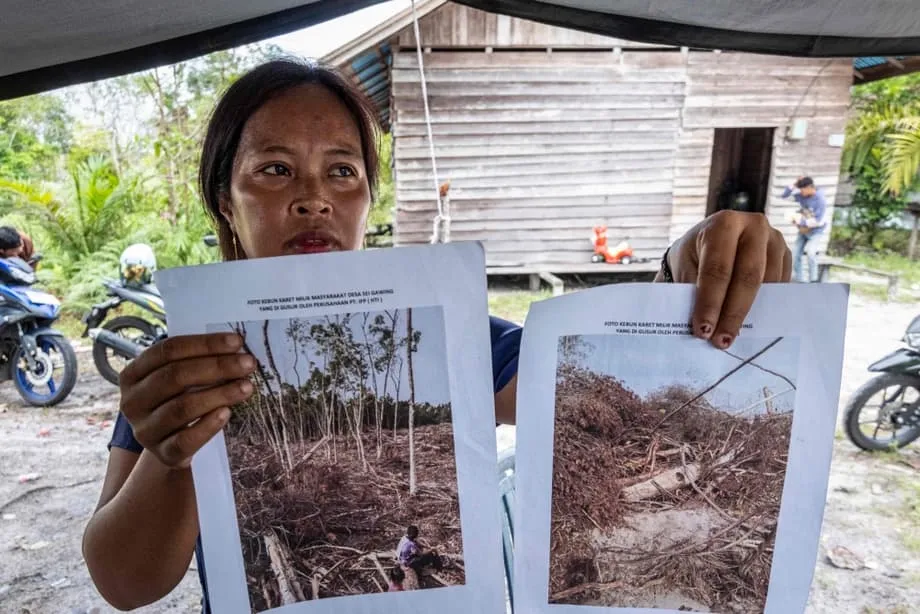 Un géant pharmaceutique rompt ses liens après une enquête reliant des emballages neutres en carbone à la destruction de l’habitat des orangs-outans