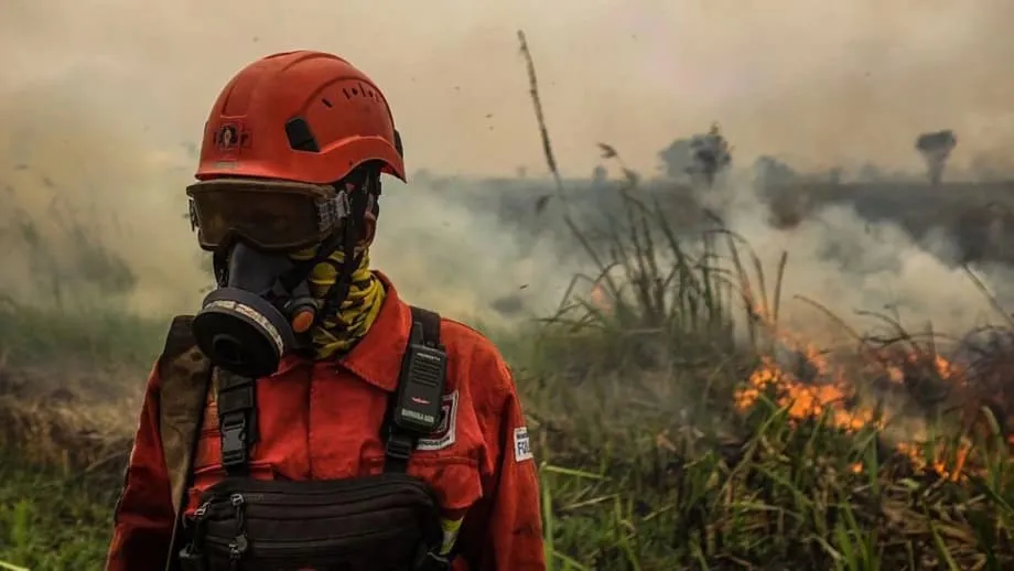 Un épais brouillard toxique dû aux incendies se répand en Asie du Sud-Est, tandis qu’un super El Niño s’intensifie