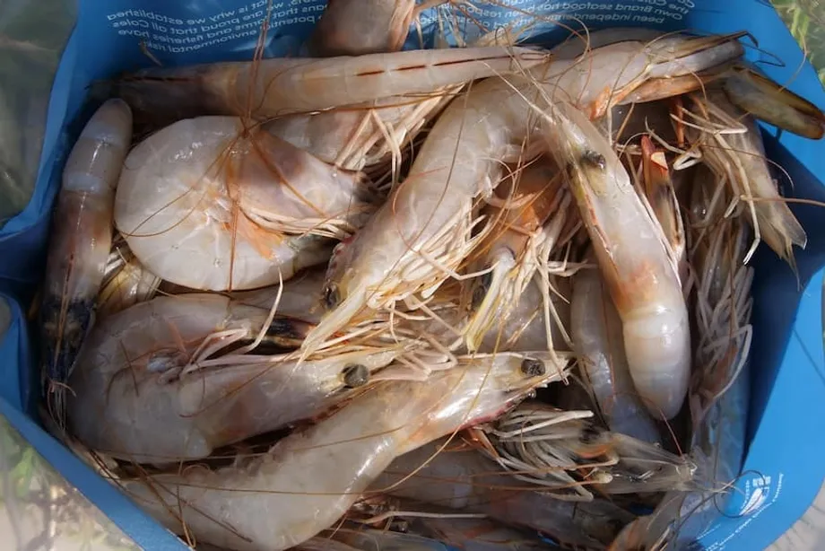 Comment le césium 137 a contaminé des crevettes, des épices et des baskets : au cœur de l’enquête sur la radioactivité en Indonésie