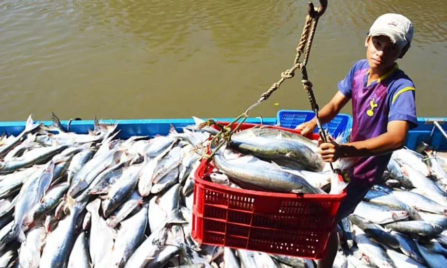 Le Vietnam devient le troisième fournisseur de produits de la mer de Singapour
