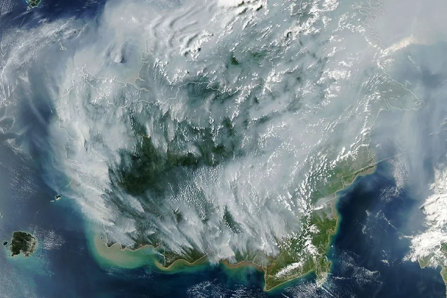 Why Indonesia's Peatland Fires Keep Burning Beneath the Surface
