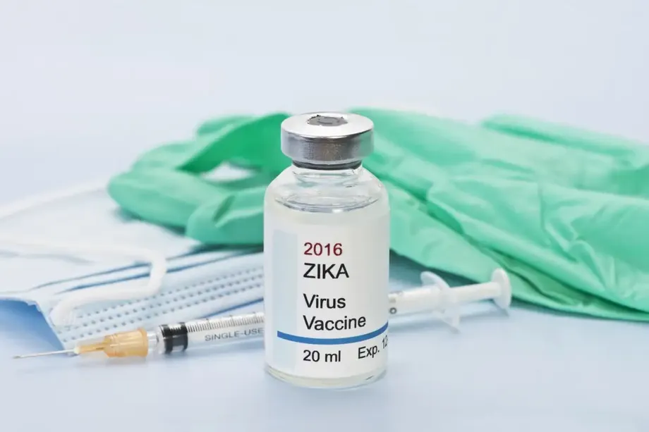 Engineered Zika Vaccines Blocked Fetal Infection and Dengue Enhancement in Mice, Not Rhesus Monkeys