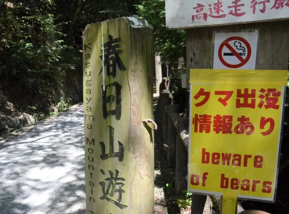 Les rencontres avec des ours se multiplient au Japon en pleine saison des randonnées automnales